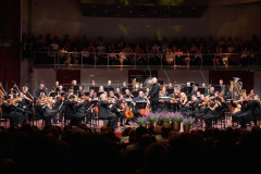 Paavo-Jarvi-and-Estonian-Festival-Orchestra-3-_photo-credit-Kaupo-Kikkas
