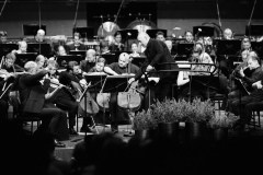 Paavo-Jarvi_Estonian-Festival-Orchestra-3_photo-credit-Kaupo-Kikkas