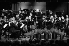 Paavo-Jarvi_Estonian-Festival-Orchestra-2_photo-credt-Kaupo-Kikkas